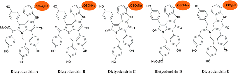 The dictyodendrin family of marine natural products.