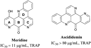 
            Meridine and ascididemin.