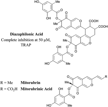 The related azaphilones diazaphilonic acid, mitorubrin and mitorubrinic acid.