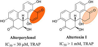 
            Alterperylenol and altertoxin I.