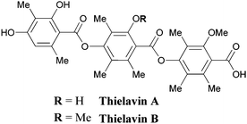 Thielavins A and B.