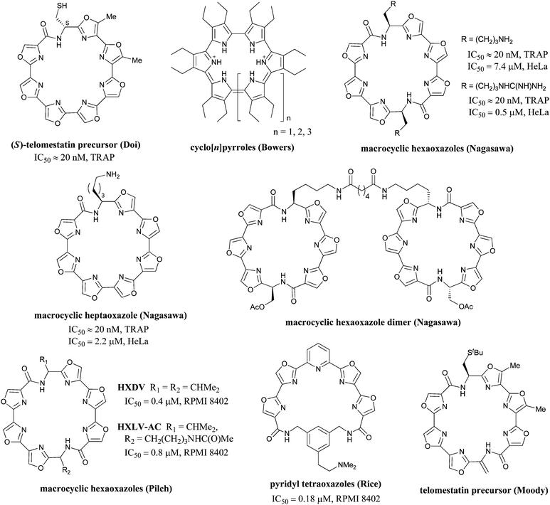 Telomestatin inspired analogues. The most potent member of each respective class is shown.