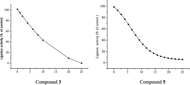 Inhibition of growth of M. tuberculosis (ligand affinity).