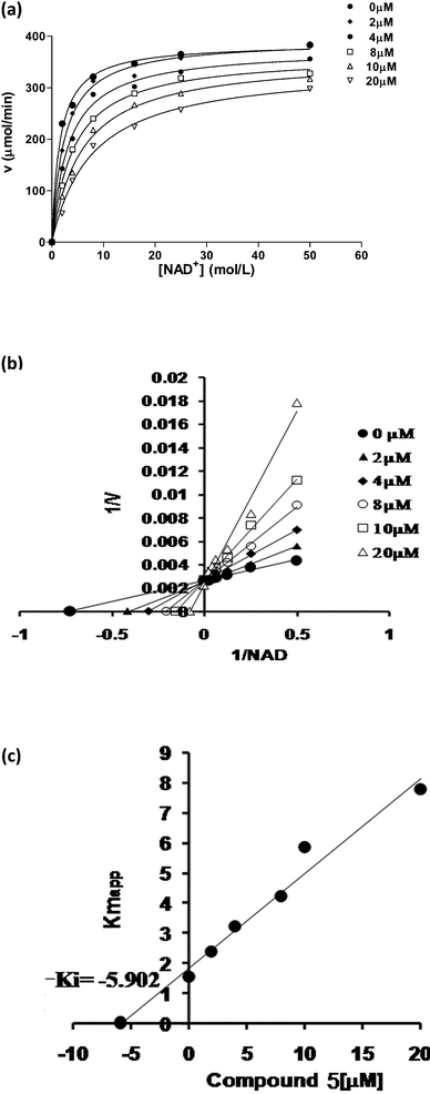 Mode of inhibition of MtuLigA with respect to NAD+ by compound 5. (a) Activity of MtuLigA measured in the presence of rising concentrations of NAD+ (0–50 μM) and compound 2 (0–20 μM). (b) A double reciprocal plot of the data clearly indicates competitive binding between NAD+ and compound 5. (c) Linear regression plot of the inhibitor concentration versus the Kmapp. The Ki value is marked with an arrow.