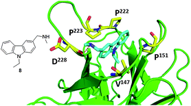 Co-crystal structure of T220C (green cartoon) p53 mutant and 8 (blue sticks) (PDB ID: 2VUK). Key interacting amino acids of p53 binding shown in yellow sticks.