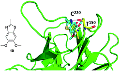 Co-crystal structure of T220C p53 mutant and fragment 10, this compound was discovered via fragment screening (PDB ID: 2XOW). Key interacting amino acids of p53 binding shown in yellow sticks.