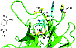 Co-crystal structure of T220C p53 mutant (green cartoon) and fragment 11 (blue sticks). This compound was discovered via fragment screening (PDB ID: 2XOV). Key interacting amino acids of p53 binding shown in yellow sticks.