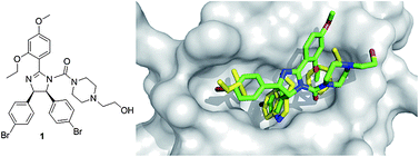 Co-crystal structure of Hoffmann La-Roche's nutlin-2 1 (green sticks), (PDB-ID: 1RV1) and MDM2 (grey surface) superimposed on the key amino acid side chain residues of the p53/MDM2 structure (yellow sticks, PDB-ID: 1YCR).