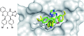 Co-crystal structure of Amgen's chromenotriazolopyrimidine small molecule 4 (green sticks, PDB ID: 3JZK) and MDM2 superimposed on the key amino acid side chain residues of the p53/MDM2 structure (yellow sticks, PDB ID: 1YCR).