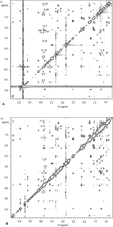 500 MHz NMR spectra of 4 mM erythromycin B in aqueous solution; A: ROESY spectrumB: TRNOESY spectrum in the presence of 0.48 μM E. coliribosomes.