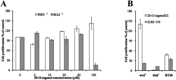 Effects of 20-O-ingenolEZ on cell proliferative activity of BLM-/- and WRN-/-DT40 cells and DT40 cells were cultured in microplates at 37 °C for 2 days at varying 20-O-ingenolEZ or ICRF-193 concentrations. Relative cell growth was determined using the MTT (3-(4,5-dimethylthiazol-2-yl)-2-5-diphenyltetrazolium bromide) assay. The cell growth in untreated cells was defined as 100%, and the cell growth of the cells treated with varying 20-O-ingenolEZ or ICRF-193 concentrations was expressed relative to the level in untreated cells (100%). The expressions were assessed in triplicate and the data were shown as the means ± SD. (A) Effect of varying 20-O-ingenolEZ concentrations on mutant cells; (B) effect of 200 μM of 20-O-ingenolEZ and ICRF-193 on mutant and wild type cells.