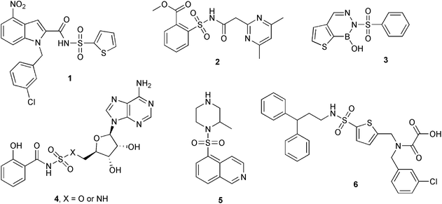 
          Sulfonamides active against M. tuberculosisgrowth (X = O or NH). Compound 6 (OMTS) is a selective inhibitor of MtbPtpB.