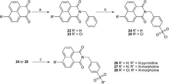 Synthesis of compounds 22–28: a) EtOH, reflux, benzylamine, 2–3 h.; b) 6 eq. HClSO3, 0–60 °C; c) MeOH, 0 °C, 2 eq. amines.