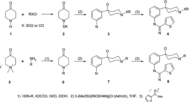 Synthetic schemes of amidinothiophene-hydroxypiperidine inhibitors.