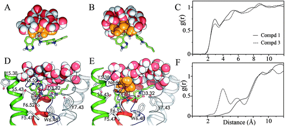 Molecular dynamics snapshots of water distribution around the carbonyl oxygen (black mesh) in bulk water (A, B half sphere) and in the orthosteric binding site of the 5-HT4R (D, E) for compounds 1 (A, D) and 3 (B, E). Ligands 1 and 3 bind the receptor model with their protonated piperidine ring interacting with D3.32 and their carbonyl group interacting with S5.43 and N6.55, respectively (dashed lines in D, E). Waters are drawn in VDW spheres with orange color for the inner solvation shell of the CO group. Compounds 1 and 3 (in sticks) bind within TMs 3, 5 (red and green cartoons) and TMs 6, 7 (blue and cyan thin ribbons), TM 2 is displayed in white cartoon. Only polar hydrogen of the ligands are displayed, the other helices and loops are omitted for clarity. Carbonyl(O)–Water(O) radial distribution functions for compounds 1 (solid line) and 3 (dashed line) in water (C) and the receptor-lipid system (F).