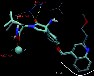 H-bond interactions of compound 11p (elemental colour) and BMS-561392 (1) (turquoise colour).