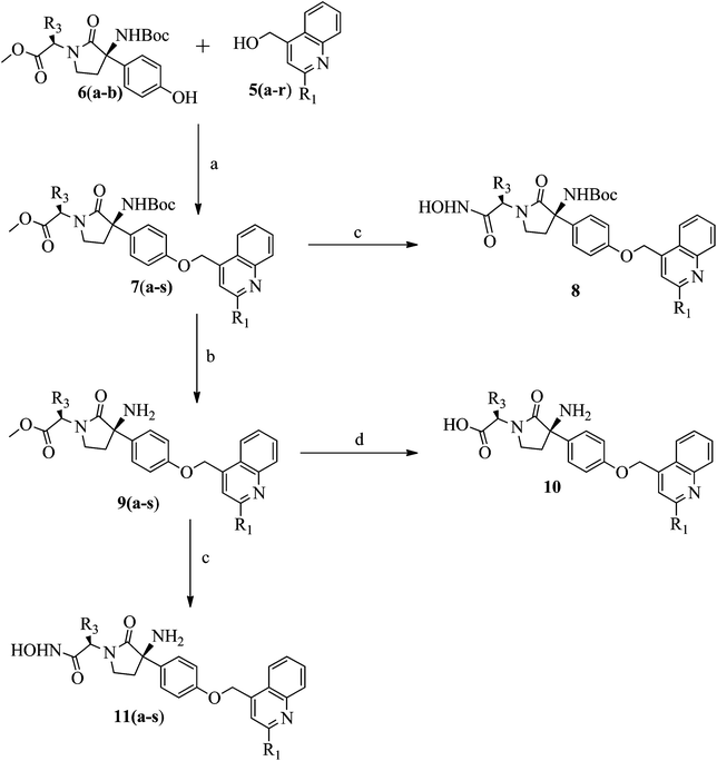 Reagents and conditions: a) DEAD, TPP, Toluene; b) TFA, CH2Cl2; c) NH2OH·HCl; d) NaOH, MeOH. Wherein, 6a–b: R3 = iBu– and Me–; 7, 9 & 11a–r: R1 = Ph–; 3Me–Ph–; 4Me–Ph–; 4Cl–Ph–; 4F–Ph–; 4MeO–Ph–; OBzl–; Cl–; CF3–; Et–; iPr–; Cpr–; Chex–; MeO–; MeO–Me–; MeO–Et–; iPrO–Me–; iPrO–Et– and R3 = iBu–; 7, 9, & 11s: R1 = MeO–Me– and R3 = Me–; 8 & 10: R1 = MeO–Me– and R3 = iBu–