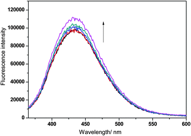 
            Fluorescence emission spectra of tetrazole 5o in the presence of increasing amounts of ct DNA: [DNA] = 0, 50, 100, 150, 200 μM after excitation at λexc 315 nm.