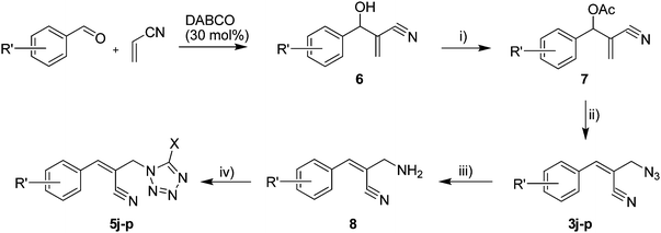 Reagents and conditions. (i) CH3COCl, Pyridine, DCM, 0 °C–rt, (ii) NaN3, DMSO, rt, (iii) Zn, NH4Cl, EtOH/H2O (3 : 1), rt; (iv) HC(OEt)3/CH3C(OEt)3, NaN3 AcOH, 90 °C R′ = H, X = H (5j); R′ = p-OMe, X = H (5k); R′ = p-CF3, X = H (5l); R′ = p-Me, X = H (5m); R′ = Nap, X = H (5n); R′ = Nap, X = Me (5o); R′ = p-F, X = Me (5p).