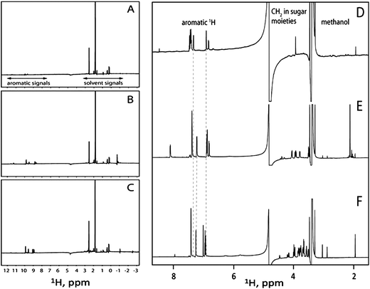 
            STD
            spectra of compound 1 (A), compound 3 (B), and compound 4 (C) bound to H-Ras-GDP. The aromatic 1H signals belonging to the tested compounds and the 1H signals belonging to the buffer components are marked. One-dimensional 1H-NMR spectra of compounds 1 (D), 3 (E), and 4 (F). The dashed lines indicate differences in chemical shifts for 1H signals in the aromatic region of compounds 1, 3, and 4.