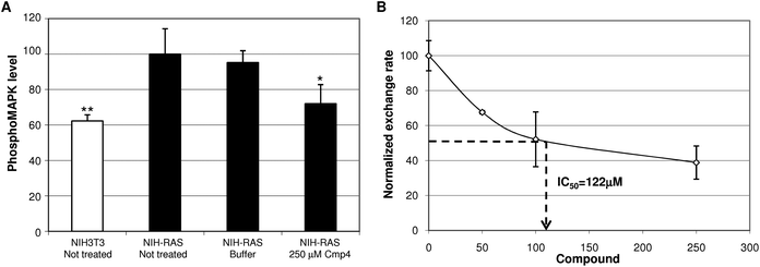 (A)Phosphorylated MAPK level in cell lysates from NIH3T3, NIH-RAS cells not treated or treated for 24 h with 250mM Cmp3, or buffer. Data are normalized on the Phospho-MAPK level in NIH-RAS cells taken equal to 100. Data shown are mean ± standard deviation of two independent experiments, each performed in triplicate. Single and double asterisk above histograms indicates a statistical significance of 95% and 99% respectively, calculated by Student's t-test in comparison to cells treated with buffer. (B) Dose–response curves of compound 3 on GEF-catalyzed exchange of Ras. The initial exchange rate of each exchange reaction (mean of at least three independent experiments) was plotted as a function of the compound concentration (dose–response curves). The exchange rate of control reaction (performed without compound) was normalized to 100.