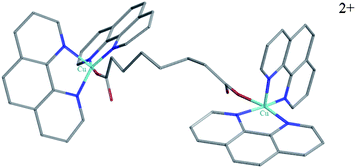 Molecular structure of the [Cu2(μ2-oda)(phen)4]2+ cation in complex 1.