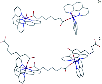 Molecular structures of the dimeric cation and anion subunits in the MnII double salt complex {[Mn2(μ2-oda)(phen)4(oda)2]2−[Mn2(μ2-oda)(phen)4(H2O)2]2+} (2).