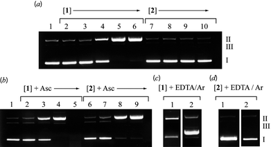 Relaxation of pUC18 by 1 and 2. Cleavage was carried out at 37 °C then analyzed by agarose gel electrophoresis (a) 20 h incubation in the absence of added oxidant or reductant. Lane 1: DNA alone; lanes 2–6: 1, 5, 10, 20, 50 μM 1; lanes 7–10: 5, 10, 20, 50 μM 2. (b) 2 h incubation in the presence of added ascorbate (at twice the complex concentration). Lane 1: DNA alone; lanes 2–5: 1, 5, 10, 20 μM 1; lanes 6–9: 1, 5, 10, 20 μM 2. (c) 20 h incubation of 20 μM 1 in the absence of added oxidant or reductant. Lane 1: 1 + 100 mM Na2EDTA; lane 2: sat. Ar atmosphere. (d) 2 h incubation of 20 μM 2 with added ascorbate (at twice the complex concentration). Lane 1: 2 + 100 mM Na2EDTA; lane 2: sat. Ar atmosphere.