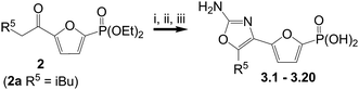 Reagents and conditions: i. CuBr2, EtOAc–CHCl3; ii. Urea, tBuOH, 80 °C; iii. TMSBr, CH2Cl2.