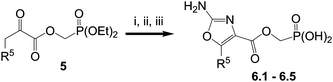 Reagents and conditions: i. CuBr2, EtOAc–CHCl3; ii. Urea, tBuOH, 80 °C; iii. TMSBr, CH2Cl2.