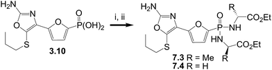 Reagents and conditions: i. SO2Cl2; ii. amine, Hunig's base, CH2Cl2.