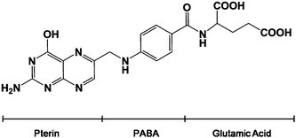 The chemical structure of folic acid.