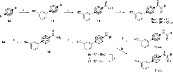 Synthesis of carborane derivatives 8–11. Reagents and conditions: (a) n-BuLi, CuCl, pyridine, DME, rt, then 3-iodobenzonitrile, reflux, 75%. (b) LDA, CO2, −78 °C, 83%. (c) (COCl)2, DMF, CH2Cl2, rt, then amine, pyridine, THF, rt. (d) (COCl)2, DMF, CH2Cl2, rt, then NH4OH, THF, rt, quant. (e) PhI(OCOCF3)2, tert-BuOH, 80 °C, 60% (16) and 13% (17). (f) TFA, CH2Cl2, rt, 87%. (g) Acyl chloride, pyridine, rt. (h) Sulfonyl chloride, pyridine, rt.