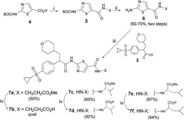 Reagents and conditions: i) corresponding amino acid methylester, (COCl)2, cat.DMF, CH2Cl2, 0 °C to rt; ii) TFA, CH2Cl2, rt; iii) (COCl)2, DMF, CH2Cl2, -20 °C to rt; iv) LiOH·H2O, THF–H2O (3 : 1), rt.