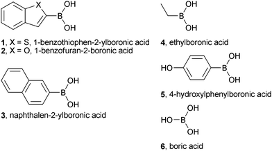 Structures of the boronic acids used in this study.