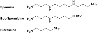 Structures of the polyamines used for the synthesis of CNLs.