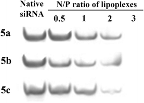 Gel retardation assays performed using the lipoplexes and siRNA. The numbers represent the N/P ratio given in Table 1.