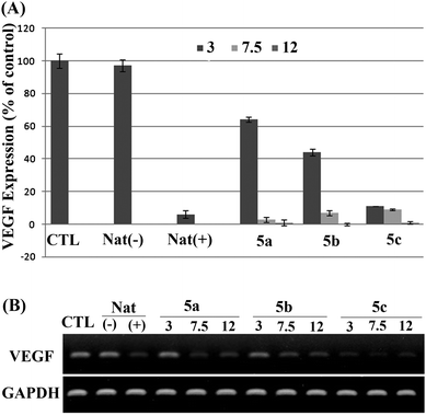 VEGF expression using (A) ELISA and (B) RT-PCR assays. siRNA concentration: 50 nM (n = 3). Control (CTL): untreated cell; negative control [Nat (−)]: natural siRNA without lipoplexes; positive control [Nat (+)]: natural siRNA treated with Lipofectamine 2000. The numbers “3,” “7.5,” and “12” indicate the N/P ratios given in Table 1.