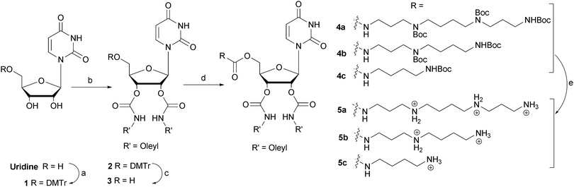 Synthesis of CNLs: (a) DMT-Cl, pyridine, rt, 4 h, 91% yield; (b) CDI, DMAP, oleylamine, DMF, rt, 12 h, 61% yield; (c) 4% TCA in CH2Cl2, 89% yield; (d) (i) CDI, DMAP, polyamine, DMF, rt, 12 h; (ii) (Boc)2O, MeOH, rt (4a, 70% yield; 4b, 68% yield; 4c, 42% yield); (e) 4 M HCl in dioxane, rt, 12 h (5a, 5b, 5c: 97% yield).