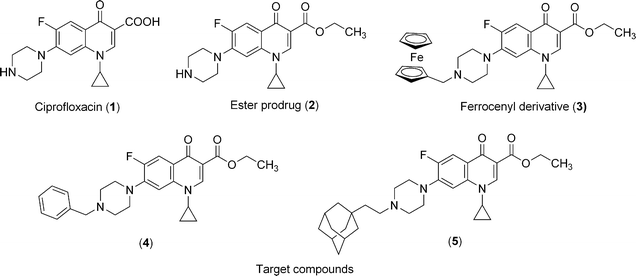 Chemical structures of ciprofloxacin and compounds investigated in this study 2–5.