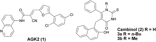 Structures of AGK-2 (1), cambinol (2) and N1-n-butyl 3a and N1-methyl 3b substituted cambinol analogues.