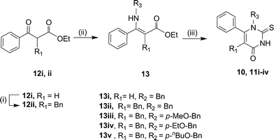 Synthesis of N1-substituted cambinol analogues 10 and 11i–iv. See Table 1 for substituent structures. Reagents and conditions: (i) Na metal, ethanol, benzyl bromide, 15 h, reflux; (ii) R3NH2, CH3COOH, 24 h, reflux; (iii) TMSNCS (neat), 3 h, reflux.
