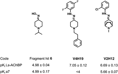 Chemical structures and pharmacological results for fragment hit and the two best compounds of the combinatorial libraries.