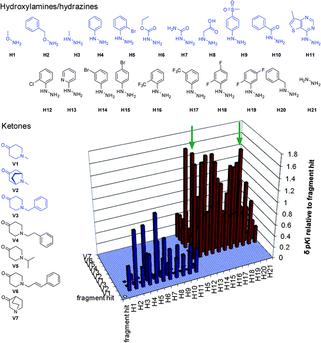 Chemical structures and results on Ls-AChBP of the focused combinatorial libraries. The structures presented in blue formed the first generation library, the results for this library are shown as blue bars. All ketones and the H5, H12–H21 formed the second generation library, the results are shown as red bars. The ligands presented in Fig. 6 are indicated with green arrows.