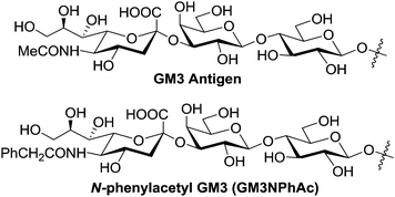 The structures of GM3 and GM3NPhAc.