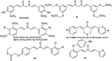 Organic curcumin derivatives and the target compounds 4A and 4Y.