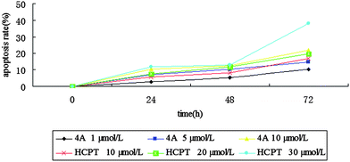 Effects of concentration of 4A on apoptosis rate.