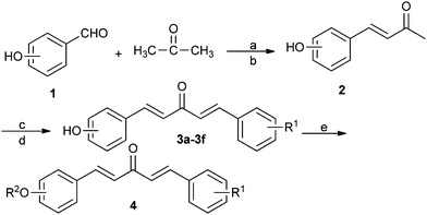 Synthetic route to the title compounds. Reagents and conditions: (a) NaOH, EtOH–H2O, r.t. 11 h, 76%; (b) gently bubbling CO2, r.t., 45 min, 74%; (c) substituted benzaldehyde, NaOH, EtOH–H2O, 5–10 °C for 3h, r.t. for 7 h; (d) gently bubbling CO2, r.t., 45 min, 51–58% for two steps; (e) RX, KI/K2CO3/acetone, 58 °C, 2 h, 61–81%.