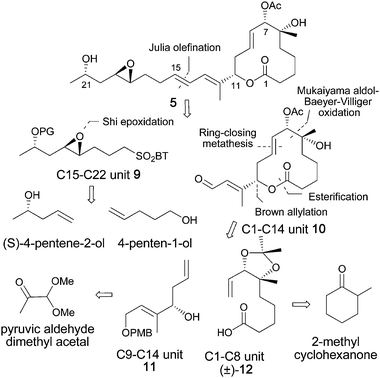 The retrosynthetic analysis of simplified pladienolide analog scaffold 5. BT = Benzothiazole; PG = protecting group