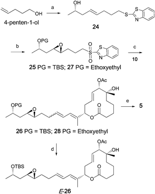 The synthesis of C15–C22 unit, fragment coupling and the synthesis of simplified pladienolide analogs E-26 and 5. Reagents and conditions: a) i. 2-mercaptobenzothiazole, TPP, DIAD, 90%; ii. (S)-4-penten-2-ol, 2nd generation Grubbs catalyst, 60%; b) i. (NH3)6Mo7(H2O)4, H2O2, EtOH, 72%; ii. Shi epoxidation catalyst, oxone, K2CO3, 59%; iii. TBSOTf, 2,6-lutidine, 86% for compound 25; Ethyl vinyl ether, PPTS, CH2Cl2, 85% for compound2727; c) 10, NaHMDS, THF, E : Z 72 : 28, 54% for compound 26; mixture of stereoisomers, 38% for compound2828; d) SFC; e) 2828, PPTS, MeOH, E:Z 72:28, 25%. (The reaction sequence with ethoxyethyl protecting group are presented in italics).